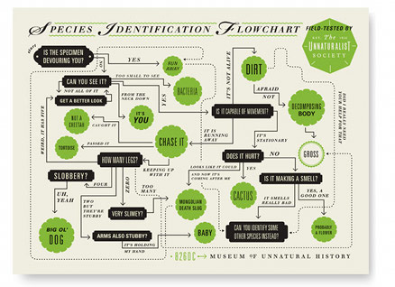 Museum of Unnatural History Species Identification Flowchart